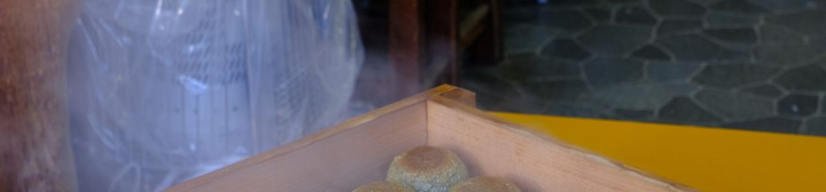 神楽坂で味わう本格寿司の魅力と隠れ家スポット